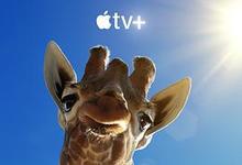 2023《巨兽第一季》美国选秀综艺 更新至第10集/共10集【暂缺03集】 迅雷磁力网盘下载-沐风文化